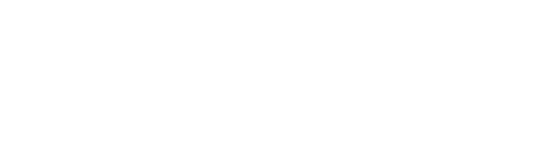 L2Essence