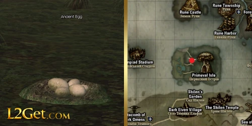 Ancient Egg