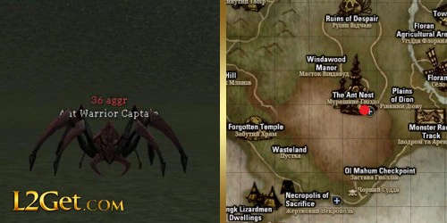 Ant Warrior Captain
