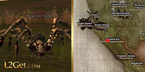 Arachnid Tracker