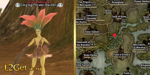 Singing Flower Darkling