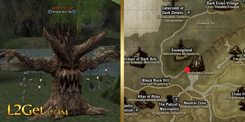 Black Willow