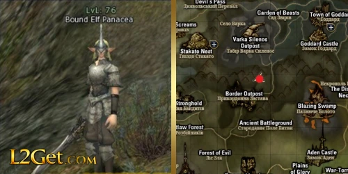 Bound Elf Panacea