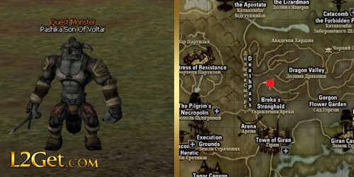 Pashika Son Of Voltar