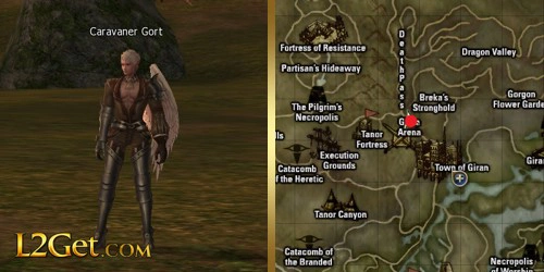 Caravaner Gort