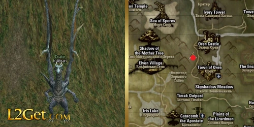 Drake Kalibran