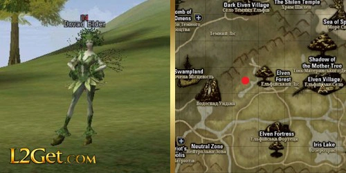 Dryad Elder