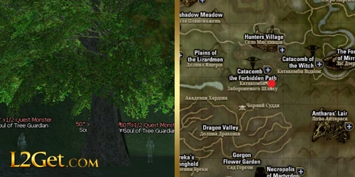 Fairy Tree of Star