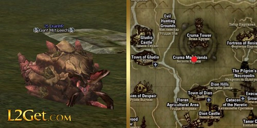 Giant Mist Leech