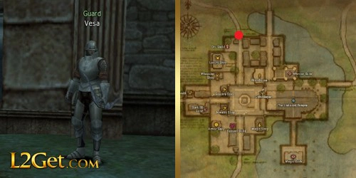 Guard Vesa