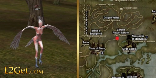 Harpy