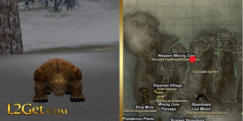 Hunter Bear