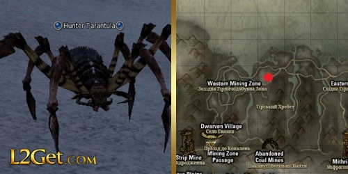 Hunter Tarantula