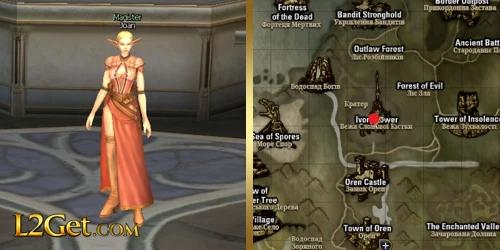 Magister Joan