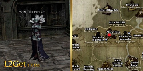 Mysterious Dark Elf