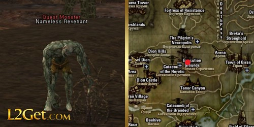 Nameless Revenant