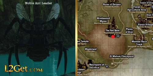Noble Ant Leader