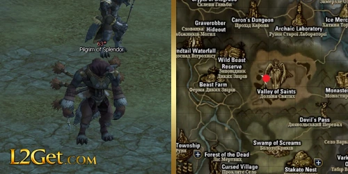 Pilgrim of Splendor