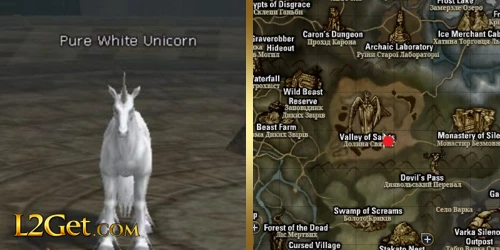 Pure White Unicorn