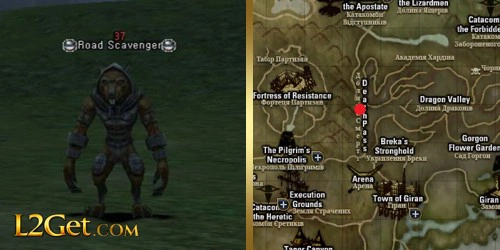 Road Scavenger