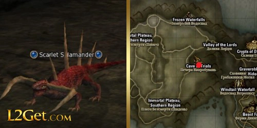 Scarlet Salamander