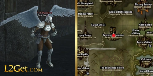 Seal Angel