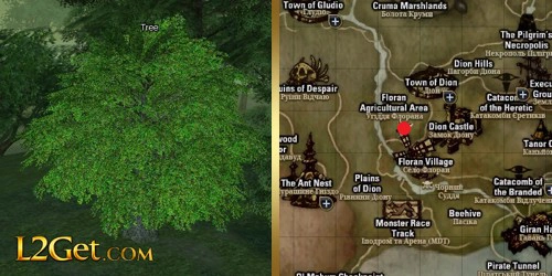 Tree