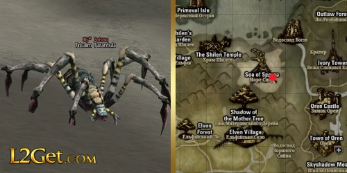 Trisalim Tarantula