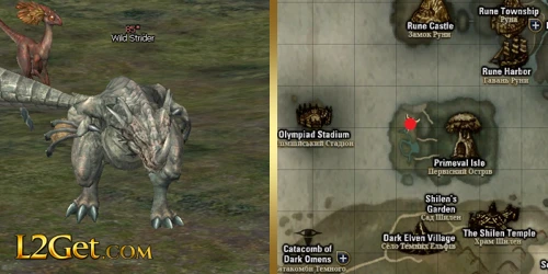 Wild Strider